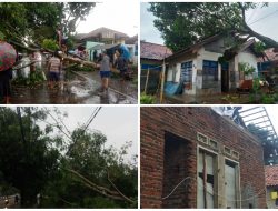 Kuningan Diguyur Hujan dan Angin Kencang, Pohon Tumbang hingga Rumah Jadi Korban