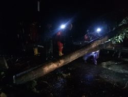 Hujan Angin, Tanjakan Kiaradomba Tertutup Pohon Tumbang