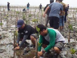 1000 Batang Mangrove, Bukti Nyata Pengabdian Fahutan Uniku