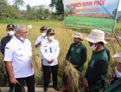 Miliki Potensi Sektor Pertanian, Kuningan Bisa Jadi Lumbung Pangan