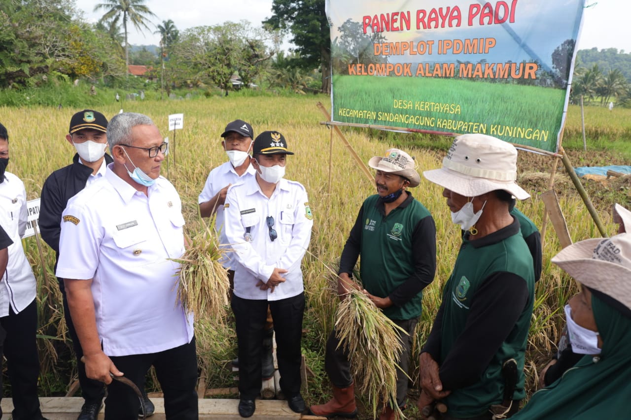 Miliki Potensi Sektor Pertanian, Kuningan Bisa Jadi Lumbung Pangan ...