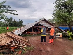 Kandang Ayam Jadi Sasaran Puting Beliung