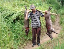 “Pamor” di Desa Cikondang