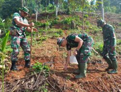 Dukung Ketahanan Pangan, Kodim 0615/Kuningan Tanam Kedelai dan Jagung di Sindangjawa