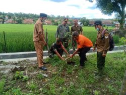 500 Pohon Ditanam di Desa Angir