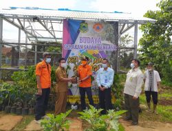 BPBD Kuningan Tanam 2500 Bibit Pohon di Daerah Rawan Bencana