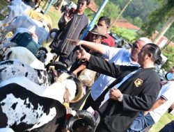 HPDKI Kuningan dan Silaturahim Budak Angon Subang Gelar Kontes Domba