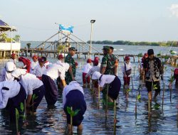 Perbaiki Lingkungan, Prajurit TNI Tanam Ratusan Bibit Pohon Mangrove