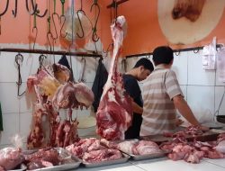 PMK Tidak Menular ke Manusia, Sekda Kuningan: Konsumsi Daging Masih Aman