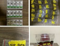 Ribuan Butir Obat Terlarang Disita Polisi