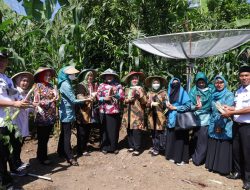 Tim Rechecking Jabar Menilai Pemanfaatan Pekarangan Desa Susukan