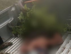 Seorang Pemuda Tewas Tersambar Petir