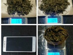 Pemilik Ganja 32,14 Gram Ditangkap Polisi