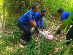 Damkar Kuningan Melepas Kera Peliharaan Warga Ciawigebang