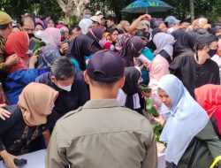 Babarit, Ratusan Warga Berebut Nasi Pincuk