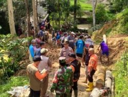 Tebing Longsor, Pohon Kelapa Tumbang Tutupi Akses Jalan