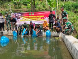 Kodim Kuningan Tebar Puluhan Ribu Bibit Ikan Nila dan Lele
