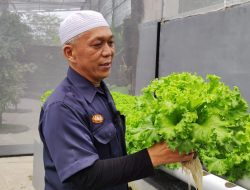 Edukasi Hydroponik Wahana Baru di J&J