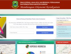 GeLiat siBaDu miRakayat Masuk Finalis Top 45 dan 21 Inovasi dalam Kompetisi Inovasi Jawa Barat (KIJB) 2022