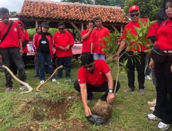Penanaman Pohon dan Pembagian Sembako Warnai Rangkaian HUT PDI Perjuangan