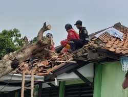 Kantor KUA Lebakwangi Tertimpa Pohon Mangga, Kerugian Mencapai Puluhan Juta