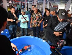 3rd Kuningan Koi Show Dibanjiri Ribuan Ikan Cantik
