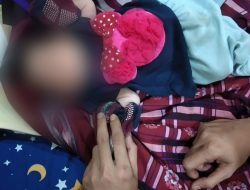 Bayi Mungil Perempuan Ditemukan di Kebon Tebu, Diduga Dibuang Orangtuamya