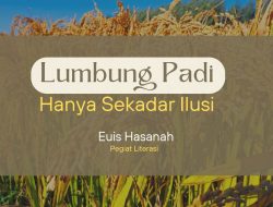 Lumbung Padi Hanya Sekadar Ilusi