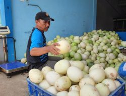 Bulan Ramadhan Tiba, Pedagang Timun Suri Mulai Menjamur