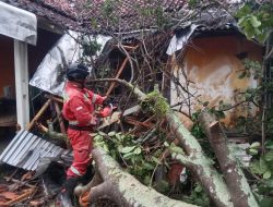 Rumah Warga Tertimpa Pohon Besar