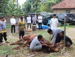 Polres Kuningan Kurban 7 Ekor Sapi dan 34 Kambing, Willy: Semoga Jadi Ladang Ibadah