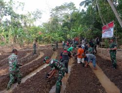 Atasi Kesulitan Petani, Prajurit TNI Kodim Kuningan Turun ke Sawah