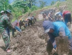 Babinsa Ajak Warga Manfaatkan Lahan Tidur