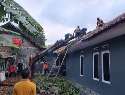 Hujan Lebat Angin Kencang, Rumah Warga Ditimpa Pohon Tumbang