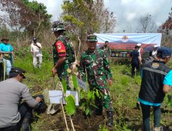 Refleksi Akhir Tahun 2023, Pulihkan Kembali Ekosistem Dengan Gerakan Menanam Pohon