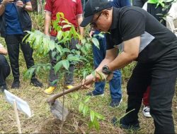 500 Jenis Pohon Ditanam di Puncak Manik Desa Cimulya