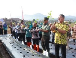 Wujudkan Ketahanan Pangan dan Pengendalian Inflasi, Diskatan Kuningan Lakukan Tanam dan Petik Cabai