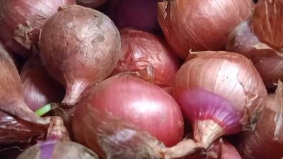 Harga Bawang Merah Di Majalengka Hampir Setara Harga Daging Sapi