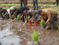 Dirjen Tanaman Pangan Lakukan Kunker ke Kuningan, Dr Wahyu : Ini Upaya Diskatan Mendorong Produksi dan Produktivitas Pertanian