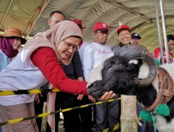 Bupati Indramayu Serahkan Bantuan kepada Penerima Manfaat di Kontes Dan Expo Domba 2024