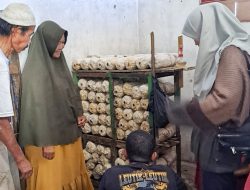 UMKM Bergerak, Tingkatkan Kesejahteraan Ekonomi Masyarakat