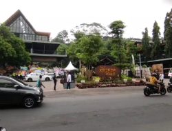 Keren! Kajene Forest Siap Manjakan Pengunjung