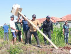 Diskatan Kuningan Bangun 25 Rumah Burung Hantu (Rubuha) Untuk Basmi Hama Tikus