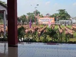 Lapas Kuningan Turunkan 10 Napi Untuk Mengikuti Latihan Gabungan Pramuka WBP