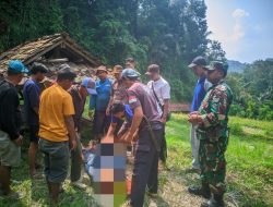 Seorang Pria Ditemukan Tewas Di Gubuk Sawah