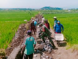 Keakraban dan Kemanunggalan Antara TNI dengan Rakyat dalam Pembangunan Irigasi
