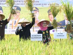 Belum Genap 1 Tahun Menjabat, Pj Bupati Kuningan Raden Iip Hidajat Lakukan Banyak Terobosan dan Program Kerja