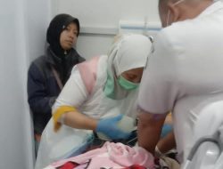 Korban Tertimpa Pohon Meninggal Dunia