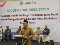 Diskusi Membahas dan Merumuskan Panduan Praktik Terbaik dalam Budi Daya Tembakau