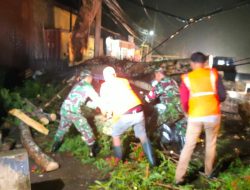 Pohon Tumbang, 2 Pengendara Motor Jadi Korban